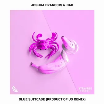 Blue Suitcase (Product of us Remix) by Joshua Francois