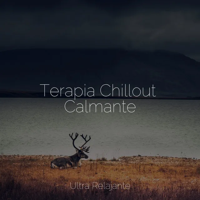 Terapia Chillout Calmante