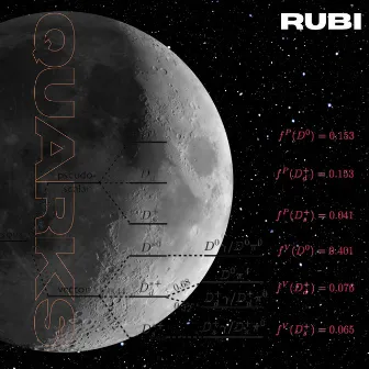 Quarks by Rubi