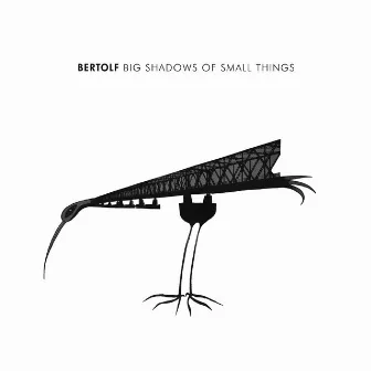 Big Shadows of Small Things by Bertolf