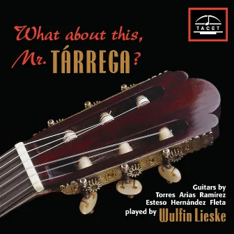 What About This, Mr. Tárrega? by Wulfin Lieske