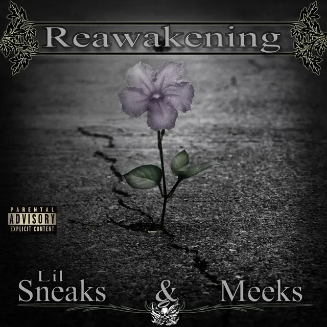 Reawakening