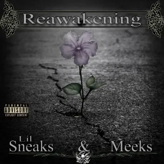 Reawakening by Lil Sneaks