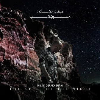 The Still of the Night by Milad Derakhshani