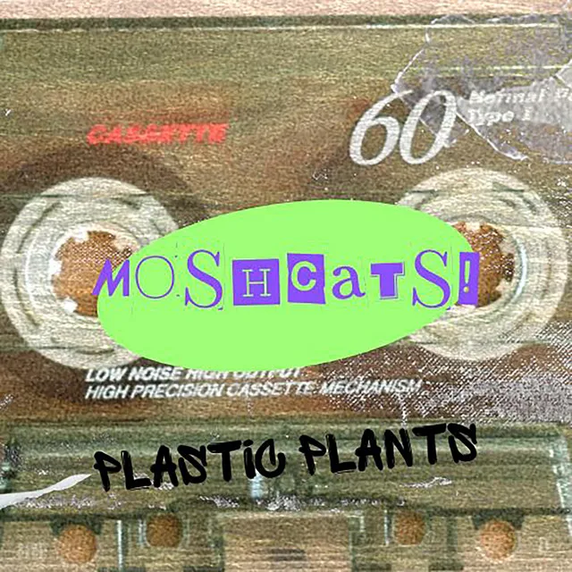 Plastic Plants