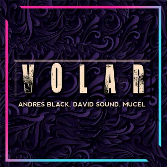 Volar (Radio Edit) by David Sound