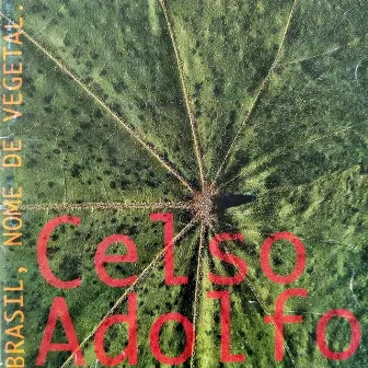 Brasil Nome de Vegetal by Celso Adolfo