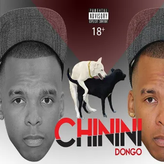 Chinini by Dongo