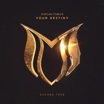 Your Destiny by Jordan Tobias