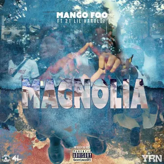 Magnolia by Mango Foo