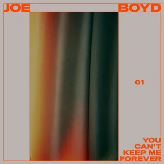 You Can't Keep Me Forever by Joe Boyd