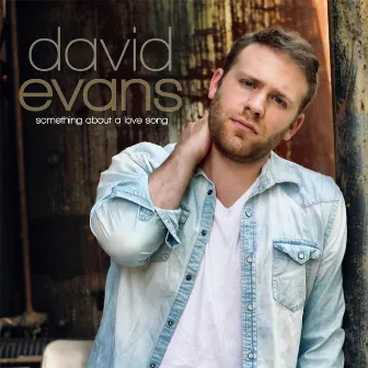 Something About a Love Song by David Evans