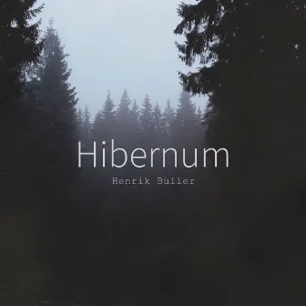 Hibernum by Henrik Büller