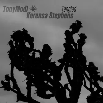 Tangled by Kerensa Stephens