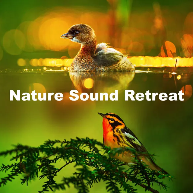 Nature Sound Retreat