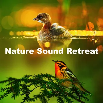 Nature Sound Retreat by Naturesque