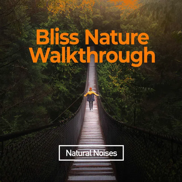 Bliss Nature Walkthrough