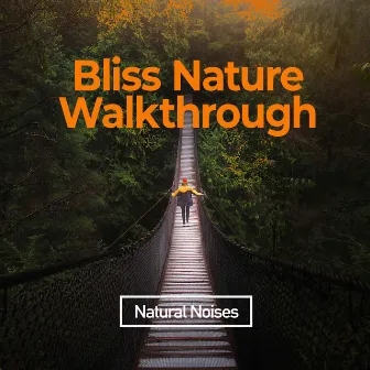 Bliss Nature Walkthrough by Natural Noises