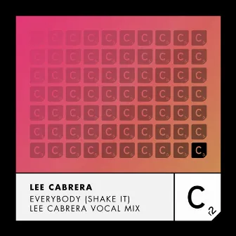 Everybody (Shake It) [Lee Cabrera Vocal Mix] by Lee Cabrera