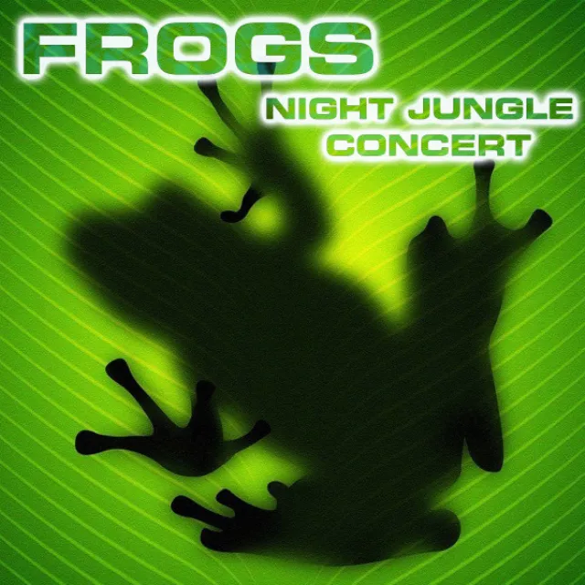 Frogs Night Jungle Concert