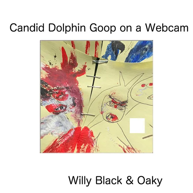 Candid Dolphin Goop on a Webcam