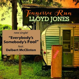 Everybody's Somebody's Fool by Lloyd Jones