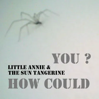 How Could You ? by Little annie