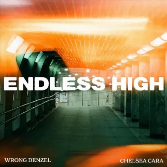 Endless High by Chelsea Cara