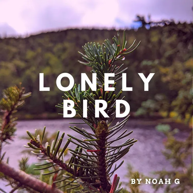 Lonely Bird