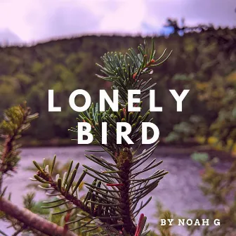 Lonely Bird by Noah G