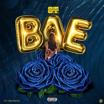 Bae by O.T. Genasis