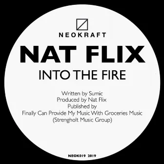 Into The Fire by Nat Flix