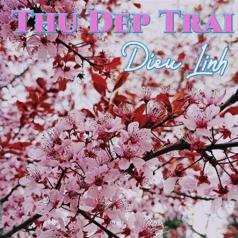 Thu Dep Trai by Dieu Linh