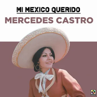 Mi Mexico Querido by Mercedes Castro