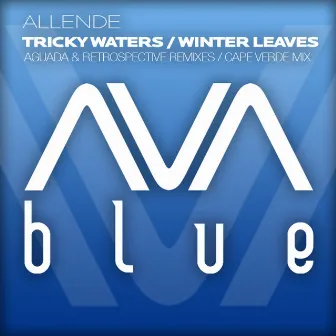 Tricky Waters / Winter Leaves (The Remixes) by Allende