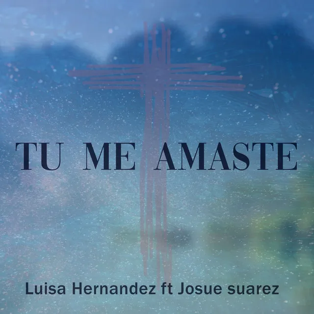 Tu Me Amaste