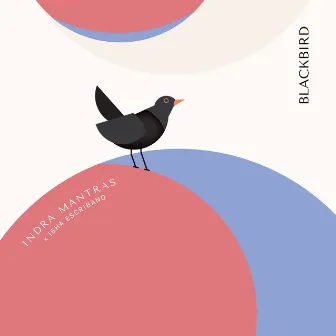 Blackbird by Nacho Abad