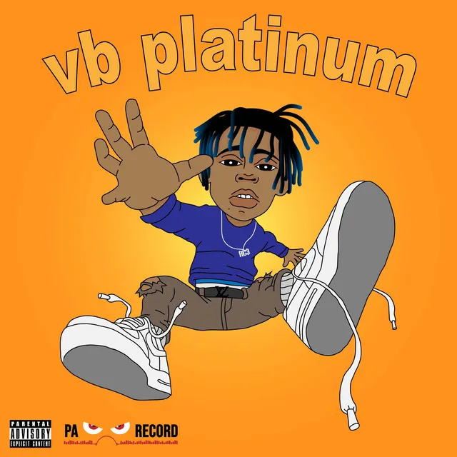 VB PLATINUM