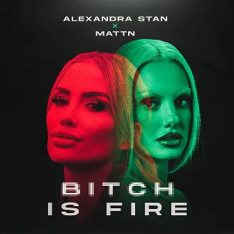 Bitch Is Fire by Alexandra Stan