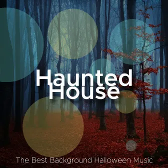 Haunted House - The Best Background Halloween Music for Parties in Denver, Los Angeles, Chicago, San Francisco, New York by Unknown Artist