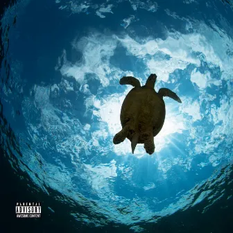 Turtle Man (Original Motion Picture Soundtrack) by Lord of the 5 Platypi