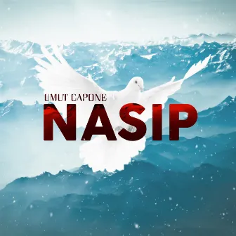 Nasip by Umut Capone