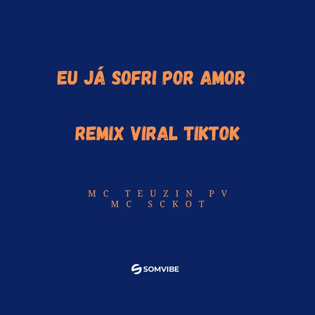 Eu Já Sofri por Amor Remix Viral Tiktok