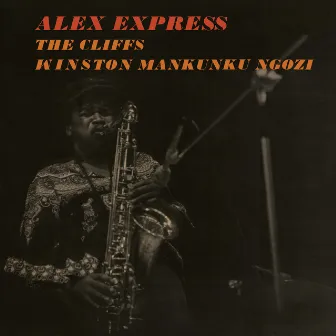 Alex Express by Winston Mankunku Ngozi