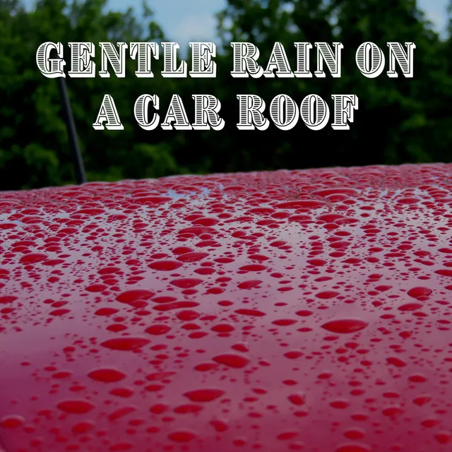 Rain on Car - Relaxing Thunder