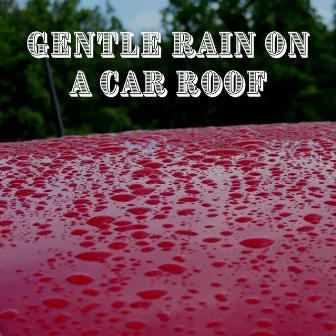 Gentle Rain on a Car Roof by Thunderstorm Universe