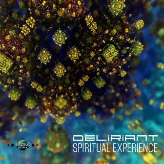 Spiritual Experience by Deliriant