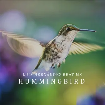 Hummingbird by Luis Hernández Beat Mx