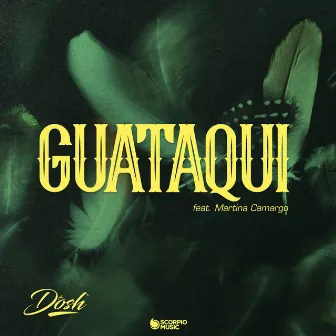 Guataqui (Flo Dosh Remix) by Flo Dosh