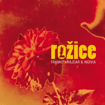 Rožice by Franko Krajcar